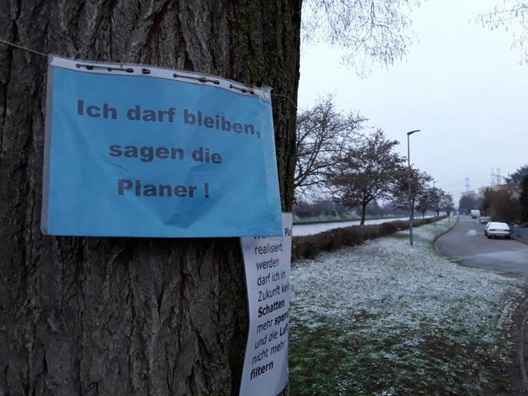 Radschnellweg bei möglichst großem Naturerhalt